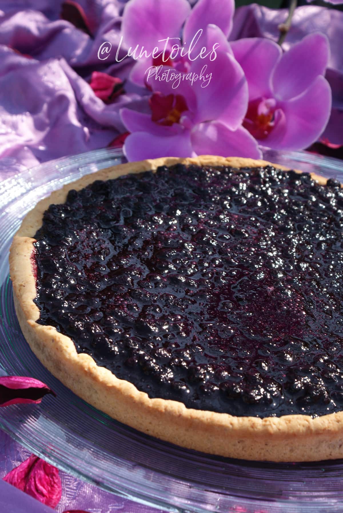 tarte aux myrtilles facile