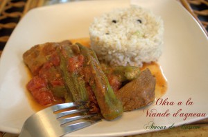 tajine-de-gnaouia-okra-a-la-vianden-bamya.CR2_2