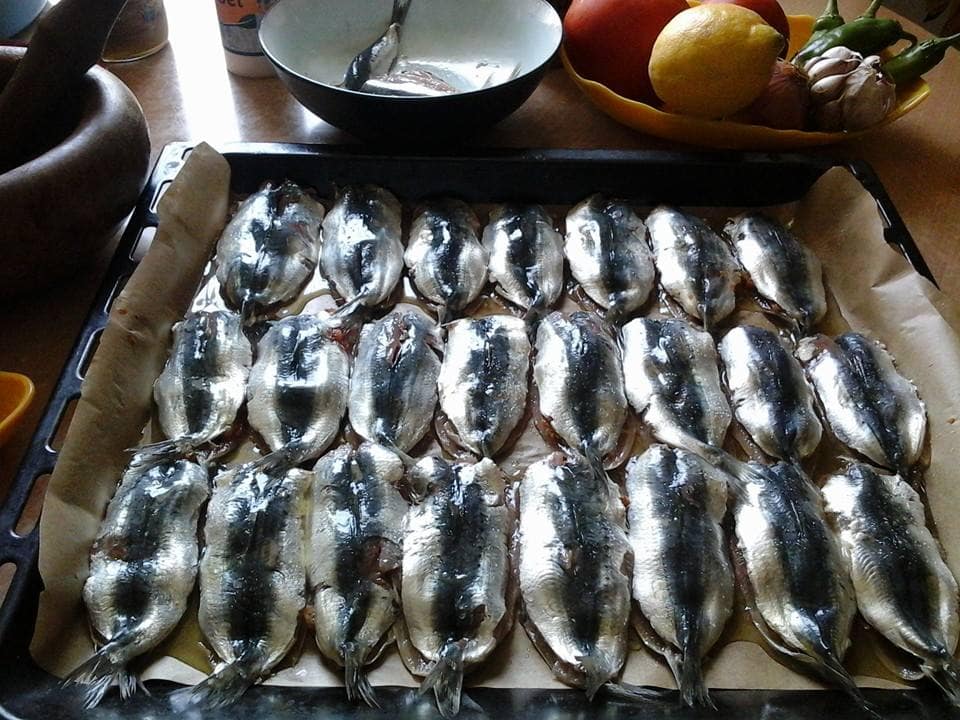 sardine farcie facile au four