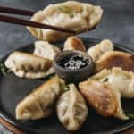 japanese dumplin, les gyoza